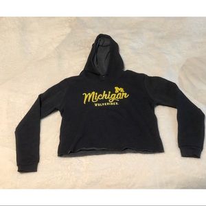 University of Michigan Cropped Hoodie
